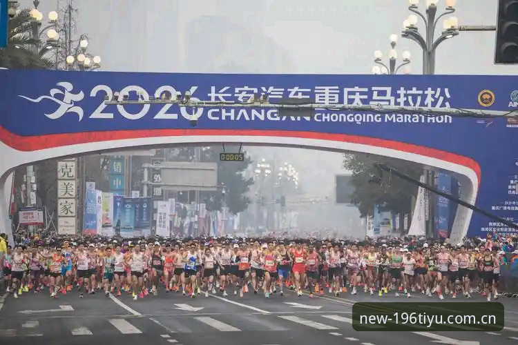 196体育平台2026新版详解：桌面版与移动端无缝体验指南